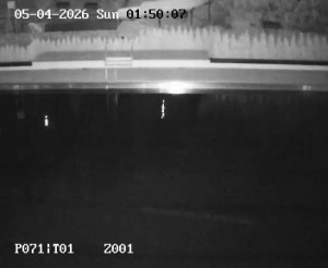 Koupaliště Petynka - Hlavní bazén - 5.4.2026 v 01:45 Koupaliště Petynka - Hlavní bazén - 5.4.2026 v 01:45