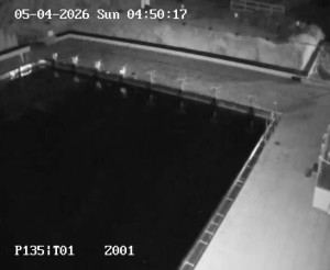 Koupaliště Petynka - Hlavní bazén - 5.4.2026 v 04:45 Koupaliště Petynka - Hlavní bazén - 5.4.2026 v 04:45