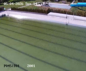 Koupaliště Petynka - Hlavní bazén - 5.4.2026 v 14:45 Koupaliště Petynka - Hlavní bazén - 5.4.2026 v 14:45