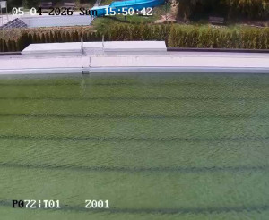 Koupaliště Petynka - Hlavní bazén - 5.4.2026 v 15:45 Koupaliště Petynka - Hlavní bazén - 5.4.2026 v 15:45