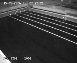 Hlavní bazén