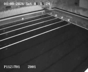 Petynka Swimming Pool - Main pool - 1.8.2026 v 01:15 Petynka Swimming Pool - Main pool - 1.8.2026 v 01:15