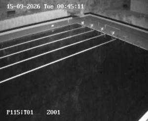 Schwimmbad Petynka - Hauptbecken - 15.9.2026 v 00:45 Schwimmbad Petynka - Hauptbecken - 15.9.2026 v 00:45