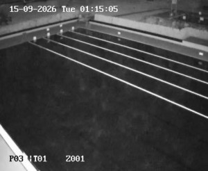 Schwimmbad Petynka - Hauptbecken - 15.9.2026 v 01:15 Schwimmbad Petynka - Hauptbecken - 15.9.2026 v 01:15