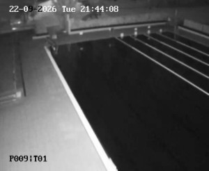 Basen Petynka - Basen główny - 22.9.2026 v 21:45 Basen Petynka - Basen główny - 22.9.2026 v 21:45