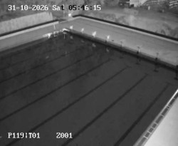 Main pool