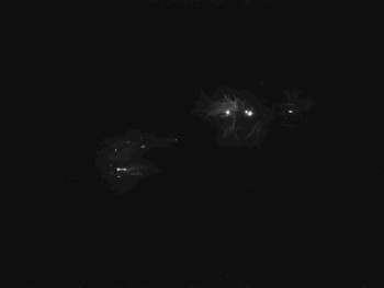 Snímek    27.10.2025 v 23:45