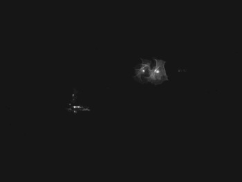 Snímek    28.10.2025 v 02:45
