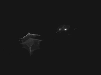 Snímek    3.11.2025 v 02:30