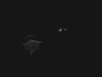 Snímek    3.11.2025 v 03:00