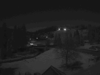 Snímek 7.11.2025 v 00:30