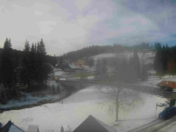 Snímek 19.11.2025 v 13:45