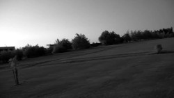 Pole golfowe