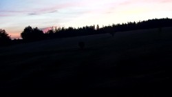 Golfové hřiště