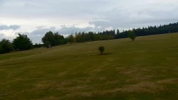 Pole golfowe