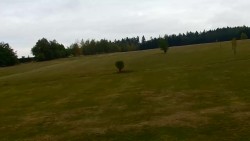 Golf course