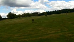 Golfové hřiště