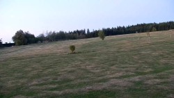 Golfové hřiště