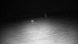 Pole golfowe