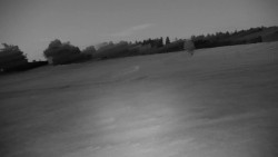 Pole golfowe