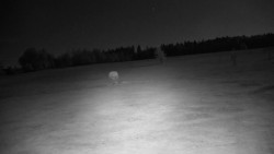 Golfové hřiště