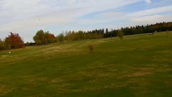 Golfové hřiště