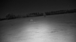 Golfové hřiště