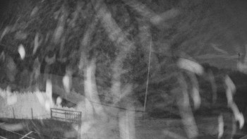 Snímek    4.11.2025 v 01:35