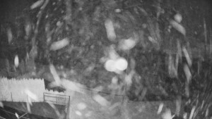 Pension Schaumannův Dvůr - Amfiteátr - Hřiště - 9.11.2025 v 03:05 Pension Schaumannův Dvůr - Amfiteátr - Hřiště - 9.11.2025 v 03:05