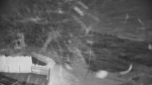 Pension Schaumannův Dvůr - Amfiteátr - Hřiště - 9.11.2025 v 03:10 Pension Schaumannův Dvůr - Amfiteátr - Hřiště - 9.11.2025 v 03:10