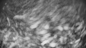 Pension Schaumannův Dvůr - Amfiteátr - Hřiště - 9.11.2025 v 04:15 Pension Schaumannův Dvůr - Amfiteátr - Hřiště - 9.11.2025 v 04:15