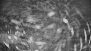 Pension Schaumannův Dvůr - Amfiteátr - Hřiště - 9.11.2025 v 04:40 Pension Schaumannův Dvůr - Amfiteátr - Hřiště - 9.11.2025 v 04:40