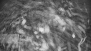 Pension Schaumannův Dvůr - Amfiteátr - Hřiště - 9.11.2025 v 04:50 Pension Schaumannův Dvůr - Amfiteátr - Hřiště - 9.11.2025 v 04:50