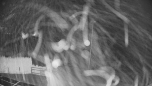 Pension Schaumannův Dvůr - Amfiteátr - Hřiště - 15.12.2025 v 00:35 Pension Schaumannův Dvůr - Amfiteátr - Hřiště - 15.12.2025 v 00:35