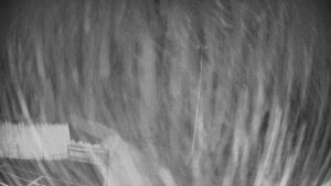 Pension Schaumannův Dvůr - Amfiteátr - Hřiště - 15.12.2025 v 04:35 Pension Schaumannův Dvůr - Amfiteátr - Hřiště - 15.12.2025 v 04:35