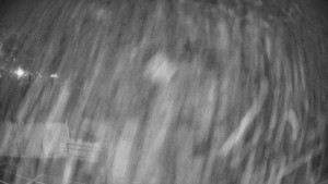 Pension Schaumannův Dvůr - Amfiteátr - Hřiště - 15.12.2025 v 05:30 Pension Schaumannův Dvůr - Amfiteátr - Hřiště - 15.12.2025 v 05:30