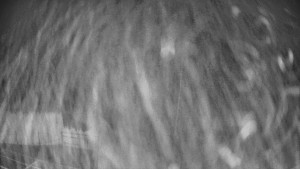 Pension Schaumannův Dvůr - Amfiteátr - Hřiště - 15.12.2025 v 05:35 Pension Schaumannův Dvůr - Amfiteátr - Hřiště - 15.12.2025 v 05:35