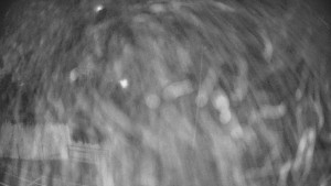 Pension Schaumannův Dvůr - Amfiteátr - Hřiště - 15.12.2025 v 06:00 Pension Schaumannův Dvůr - Amfiteátr - Hřiště - 15.12.2025 v 06:00