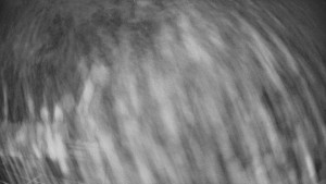 Pension Schaumannův Dvůr - Amfiteátr - Hřiště - 15.12.2025 v 06:40 Pension Schaumannův Dvůr - Amfiteátr - Hřiště - 15.12.2025 v 06:40