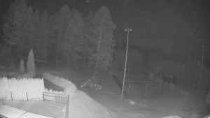 Pension Schaumannův Dvůr - Amfiteátr - Hřiště - 20.2.2026 v 00:50 Pension Schaumannův Dvůr - Amfiteátr - Hřiště - 20.2.2026 v 00:50