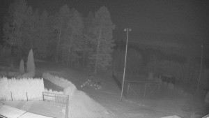 Pension Schaumannův Dvůr - Amfiteátr - Hřiště - 20.2.2026 v 02:00 Pension Schaumannův Dvůr - Amfiteátr - Hřiště - 20.2.2026 v 02:00