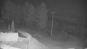 Pension Schaumannův Dvůr - Amfiteátr - Hřiště - 20.2.2026 v 02:05 Pension Schaumannův Dvůr - Amfiteátr - Hřiště - 20.2.2026 v 02:05