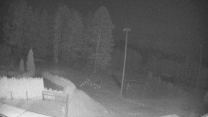 Pension Schaumannův Dvůr - Amfiteátr - Hřiště - 20.2.2026 v 02:25 Pension Schaumannův Dvůr - Amfiteátr - Hřiště - 20.2.2026 v 02:25