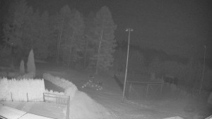 Pension Schaumannův Dvůr - Amfiteátr - Hřiště - 20.2.2026 v 02:30 Pension Schaumannův Dvůr - Amfiteátr - Hřiště - 20.2.2026 v 02:30