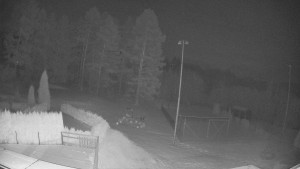 Pension Schaumannův Dvůr - Amfiteátr - Hřiště - 20.2.2026 v 02:40 Pension Schaumannův Dvůr - Amfiteátr - Hřiště - 20.2.2026 v 02:40