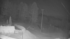 Pension Schaumannův Dvůr - Amfiteátr - Hřiště - 20.2.2026 v 03:00 Pension Schaumannův Dvůr - Amfiteátr - Hřiště - 20.2.2026 v 03:00