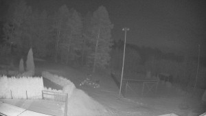 Pension Schaumannův Dvůr - Amfiteátr - Hřiště - 20.2.2026 v 03:05 Pension Schaumannův Dvůr - Amfiteátr - Hřiště - 20.2.2026 v 03:05