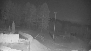 Pension Schaumannův Dvůr - Amfiteátr - Hřiště - 20.2.2026 v 04:30 Pension Schaumannův Dvůr - Amfiteátr - Hřiště - 20.2.2026 v 04:30