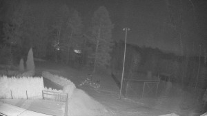 Pension Schaumannův Dvůr - Amfiteátr - Hřiště - 20.2.2026 v 05:25 Pension Schaumannův Dvůr - Amfiteátr - Hřiště - 20.2.2026 v 05:25