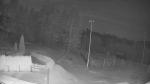 Pension Schaumannův Dvůr - Amfiteátr - Hřiště - 20.2.2026 v 05:40 Pension Schaumannův Dvůr - Amfiteátr - Hřiště - 20.2.2026 v 05:40